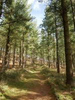 Igoerako pasarte bat