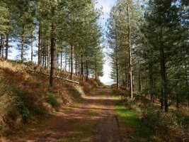 Mendigainera iristen