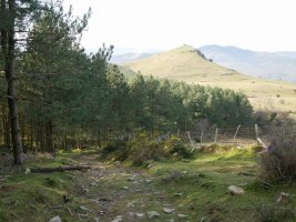 Larreatik Las Llanas de Ubietara jaisten