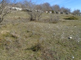 balsa de manzuruturri