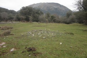 Campo Tumular Irulegi,Túmulo nº 9  (Enero 2020)