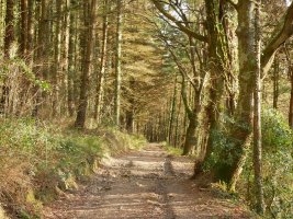 Jaitsierako pasarte bat