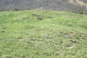 Fondo de Cabaña Auntzin Bizkarra nº 3 (Abril 2018)