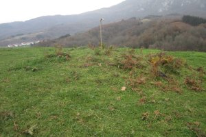 Túmulo San Donato 2 (Diciembre 2019)