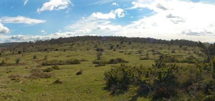 Arastegi, mendebaldetik