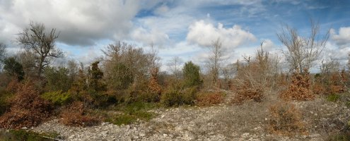 Arastegiko gainaldea