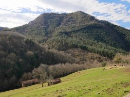 Arastortzeko Gaina Osinberdera doan bidetik ikusita