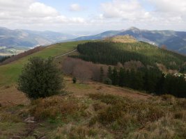 Arrola, Aiurdinetik ikusita