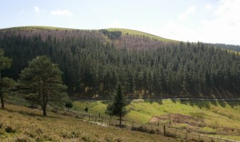 Larragorri, iparraldetik ikusita