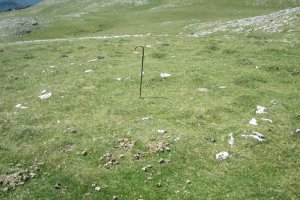 Círculo Anular Arraska 9  (Agosto 2017)