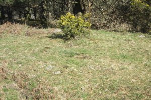 Túmulo Zurbitz  (Marzo 2019)