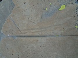 polissoir plaa houngarous