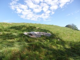 ALTZUSTABERRI II zutarri