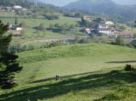 ALTZUSTABERRI campo tumular