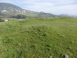 ALTZUSTABERRI campo tumular