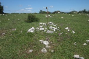 Túmulo nº 4  (Mayo 2020)