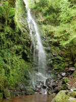 Belaustegi ur-jauzia