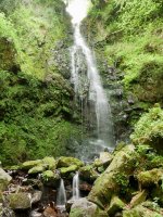 Belaustegi ur-jauzia