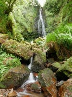 Belaustegi ur-jauzia