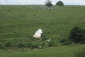 Monollito* Legaire Erreka  (Junio 2020)