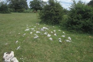 Túmulo Legaire Bidea  (Junio 2020)