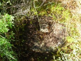 Gailurreko tako geodesikoa