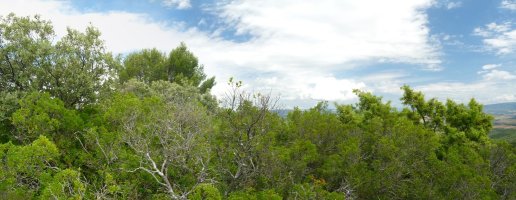 Sasiek hartutako gailurra