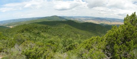 Paisaia San Pedro alderantz