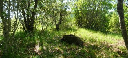 Surgurin Txikitoko gailurra