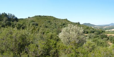 Gainaldea, sasiek inbadituta