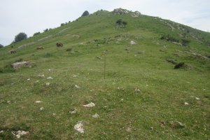 Túmulo Alkorta  (Junio 2020)