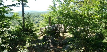 Buzoia, beheragoko kota batean