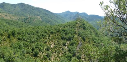 Sandoaingo gainaldea