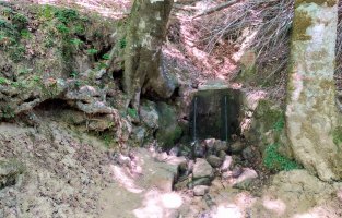 El Arenal Iturria Urbasan