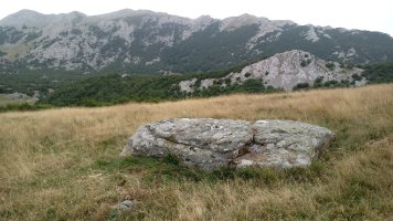 Pinpil I zutarria (2020)