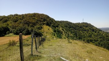 Zorrikobaso eta Marabileta Larrintxotik