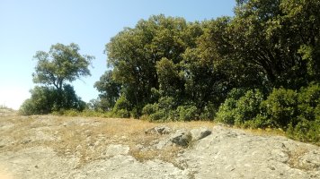 Azkorrieta (794m) tontorra