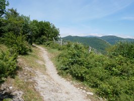 SL-NA-55 bidezidorra Garaioatik gora