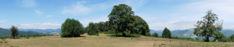 Iparraldeko bizkarreko panoramika