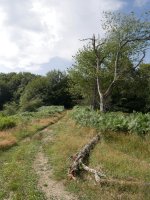 Erramonen Bordako lepoa