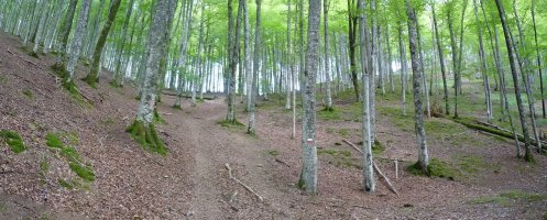 GR-12ko markak, Askoko Puntako lepoan