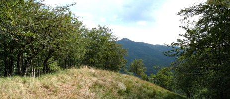 Ikuspegi mugatuak gailurretik