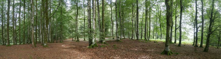 Gainaldeko panoramika