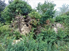 Santa Katalina Ermita Mataukoko Hilerriaren Hondakinak