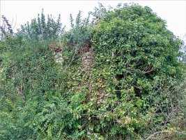 Santa Katalina Ermita Mataukoko Hilerriaren Hondakinak