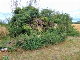 Santa Katalina Ermita Mataukoko Hilerriaren Hondakinak