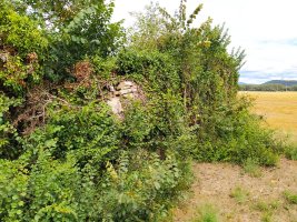 Santa Katalina Ermita Mataukoko Hilerriaren Hondakinak