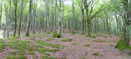 Pagadietan gora, biderik gabe