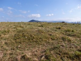 ALTZUSTABERRI V campo tumular