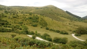 Azalegi (1164m) Orioneko lepo aldetik